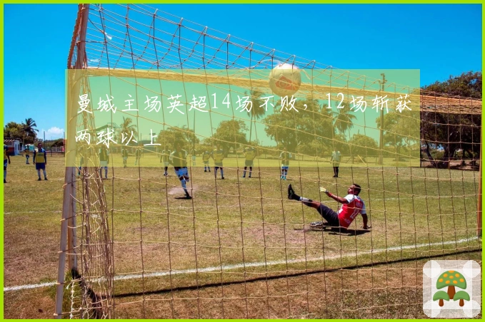 曼城主场英超14场不败，12场斩获两球以上