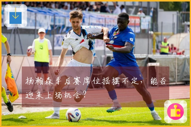 杨瀚森季后赛席位摇摆不定，能否迎来上场机会？